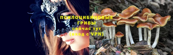бутират Белокуриха