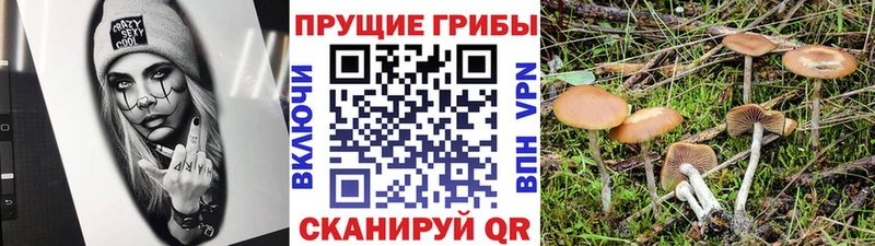 наркотики  Кушва  Псилоцибиновые грибы прущие грибы 