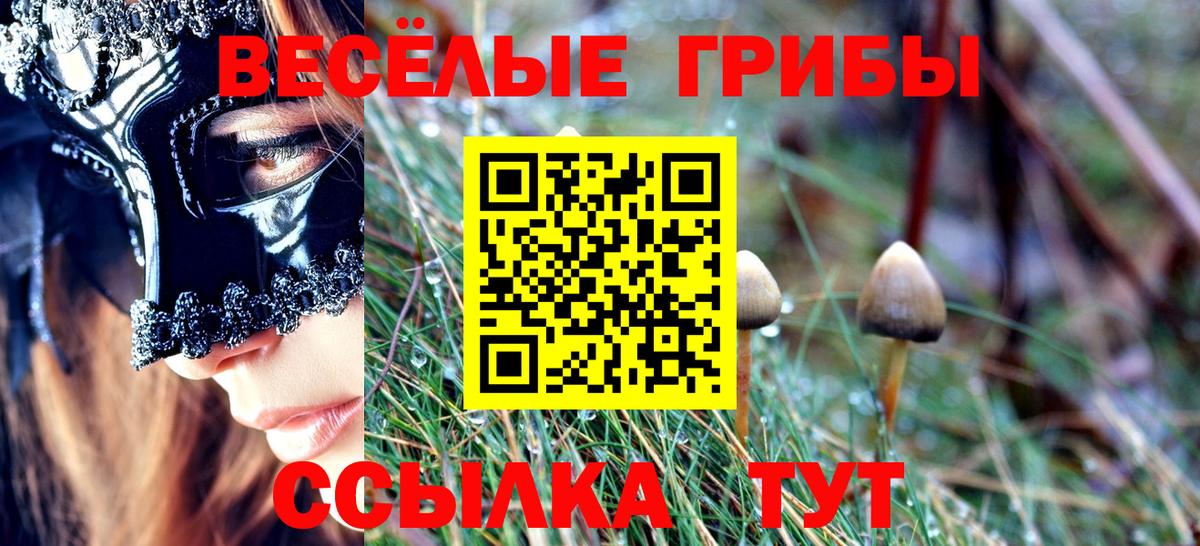 Псилоцибиновые грибы прущие грибы  Вход с VPN  Кушва  Галлюциногенные грибы ЛСД 